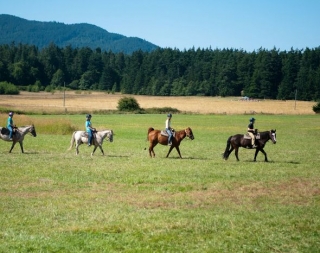  Passeio a cavalo em Bouches du Rhone